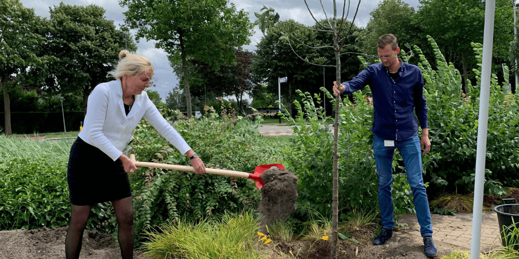 Fb En Linkedin Bericht Zonder Banner 33